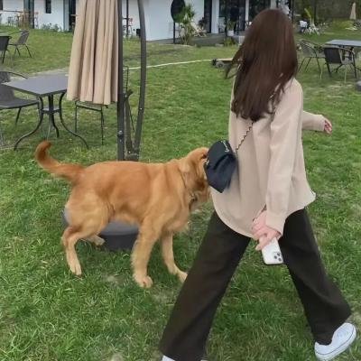 大逃脱第四季